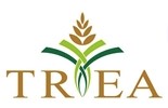 Thai Rice Exporters Association